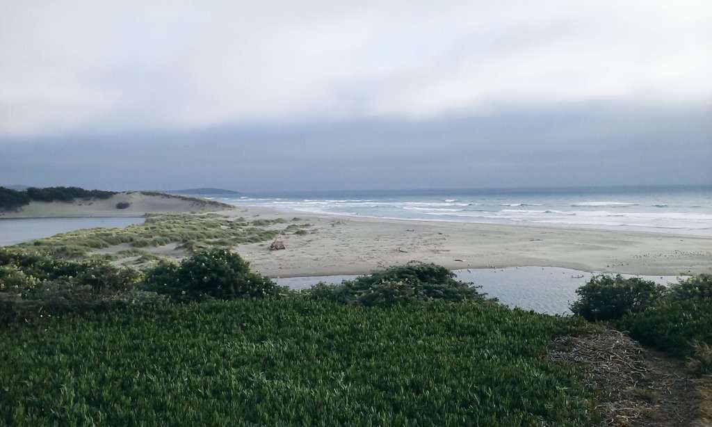 Salmon Creek Beach | California 94923, USA