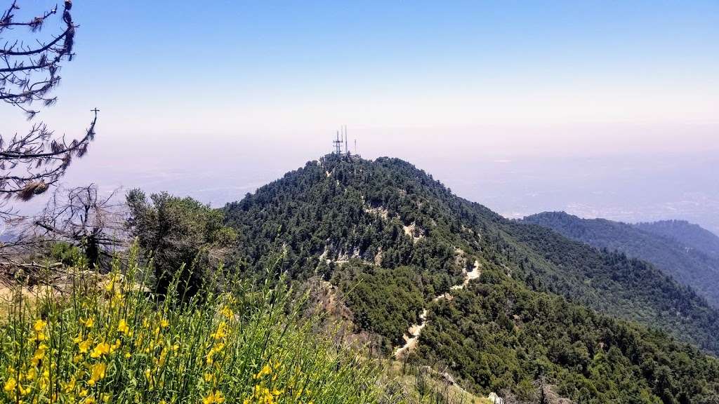 Sturtevant & Rim Trail | Angeles National Forest, Sturtevant Trail, Sierra Madre, CA 91024