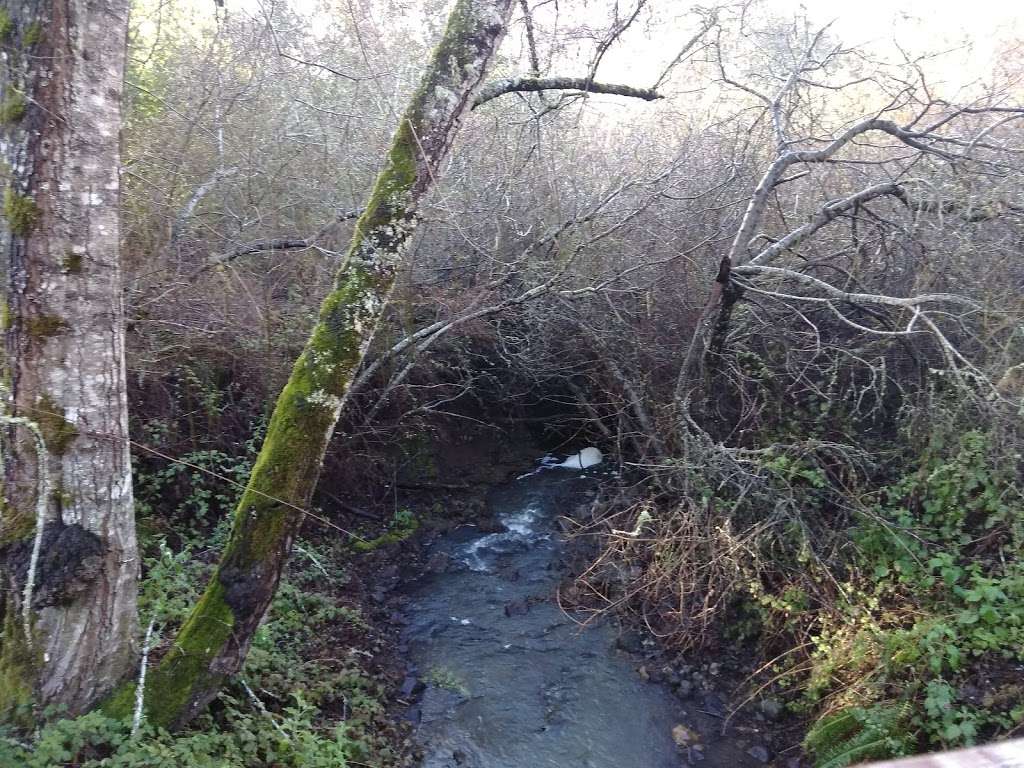 La Honda Creek Open Space Preserve | Redwood City, CA 94062, USA | Phone: (650) 691-1200