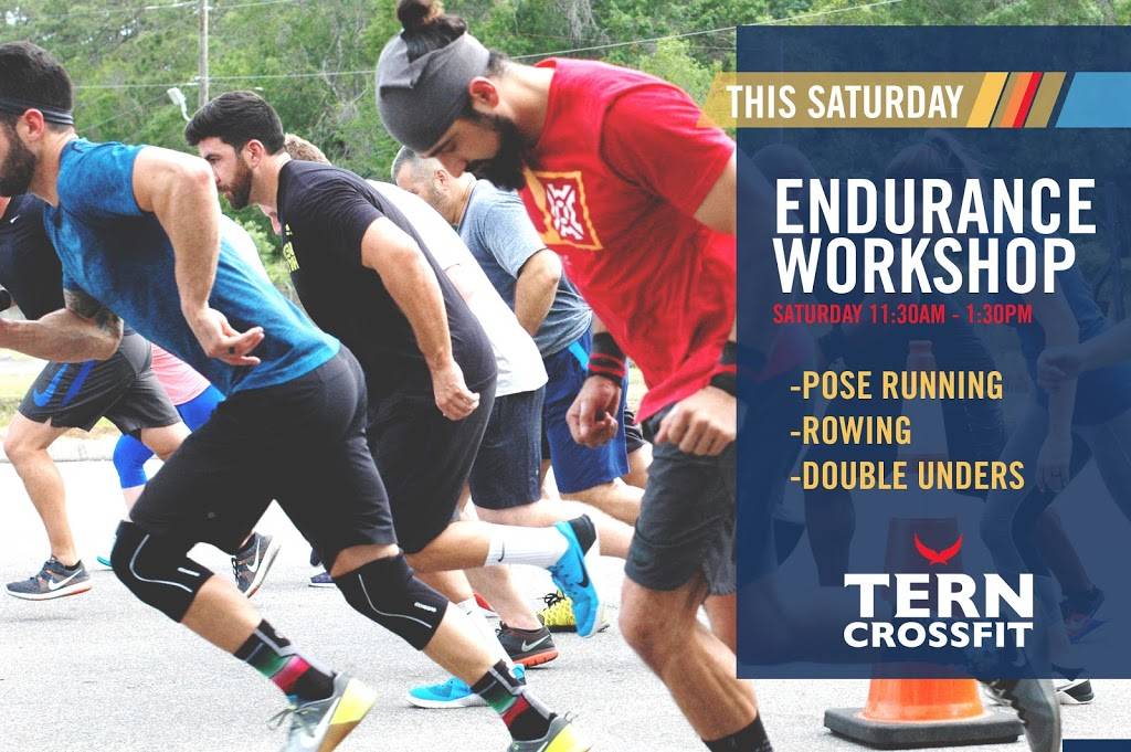 Tern Fitness | 13580 Wright Cir, Tampa, FL 33626, USA | Phone: (813) 749-0864