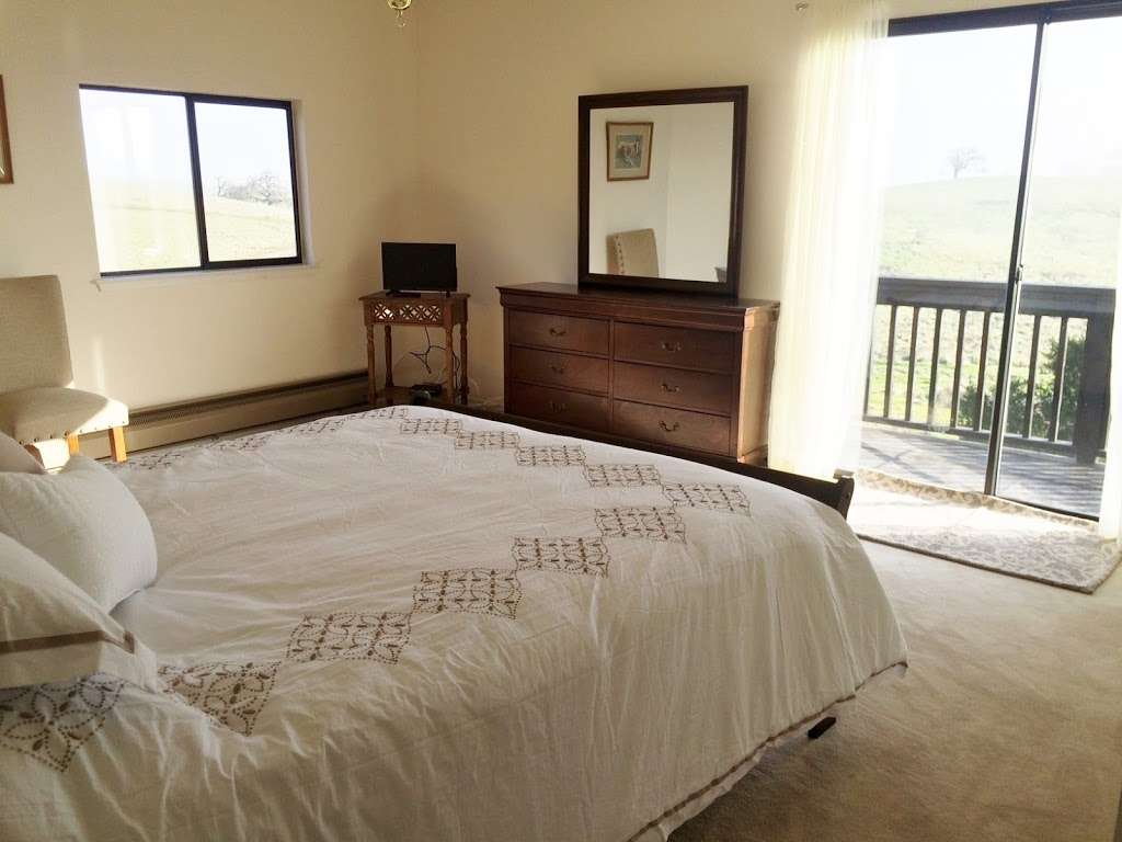 Reis River Ranch Vineyards Farm Stay Bed and Breakfast | Tunzi Rd, Petaluma, CA 94952, USA | Phone: (707) 781-7437