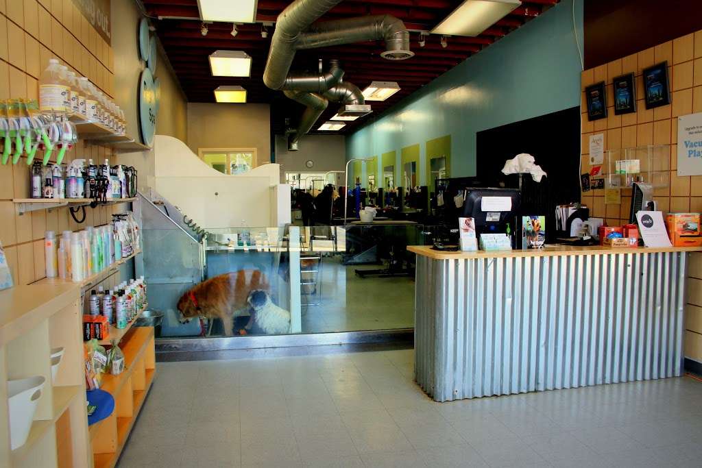 Bubbles Pet Spa | 22242 Palos Verdes Blvd, Torrance, CA 90505 | Phone: (310) 406-3911