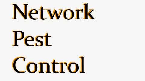Network Pest Control | 169 Calais St, Laguna Niguel, CA 92677, USA | Phone: (949) 499-0409