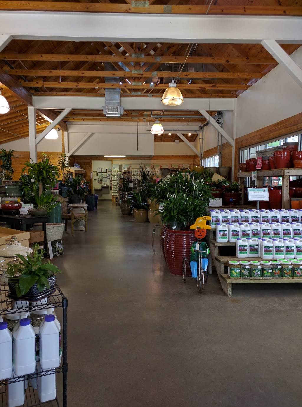 Calloways Nursery | 1424 N Center St, Arlington, TX 76011, USA | Phone: (817) 861-1195