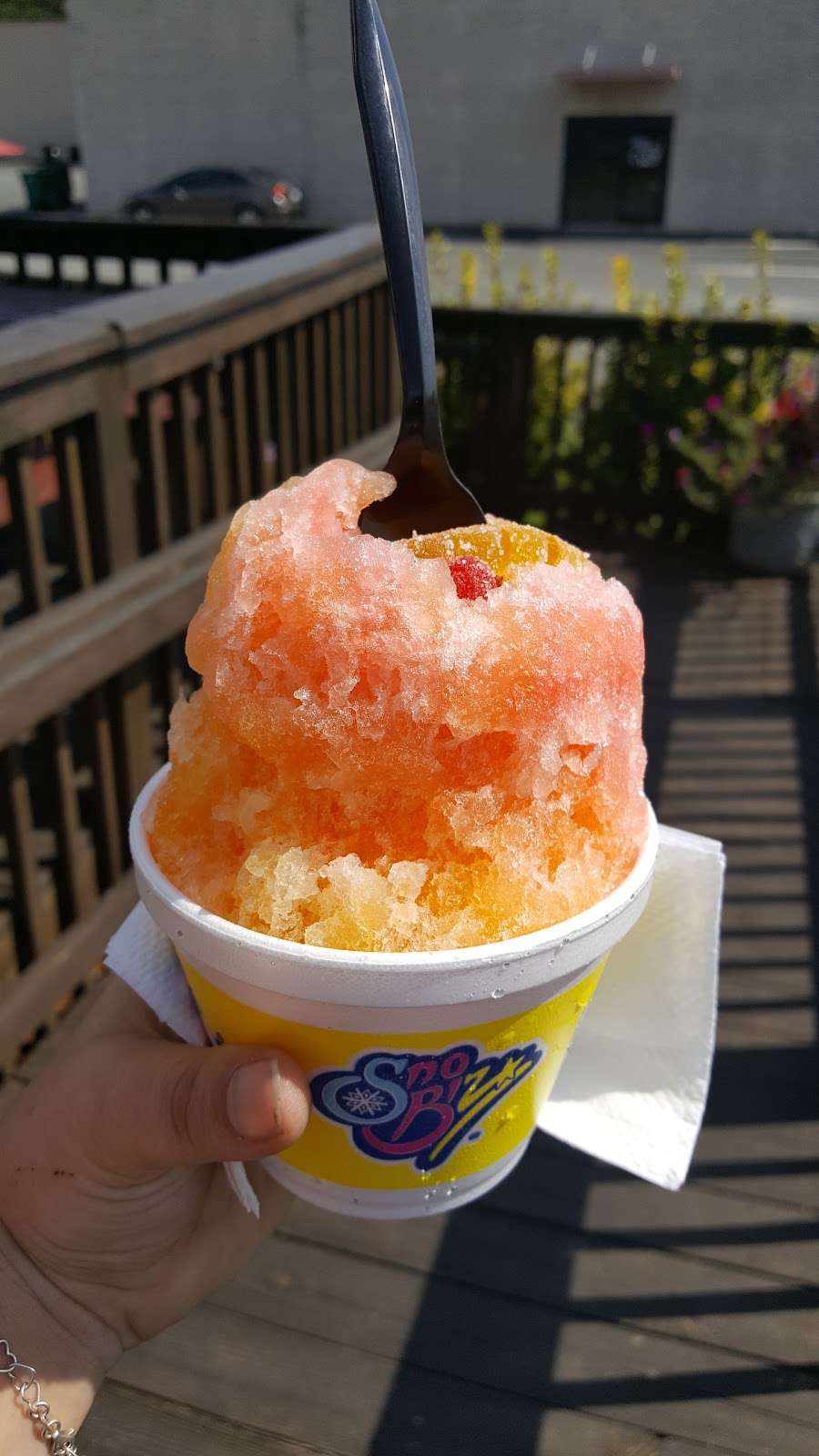 Sno Biz | 173-207 Dunns Mountain Church Rd, Granite Quarry, NC 28146 | Phone: (704) 798-1259