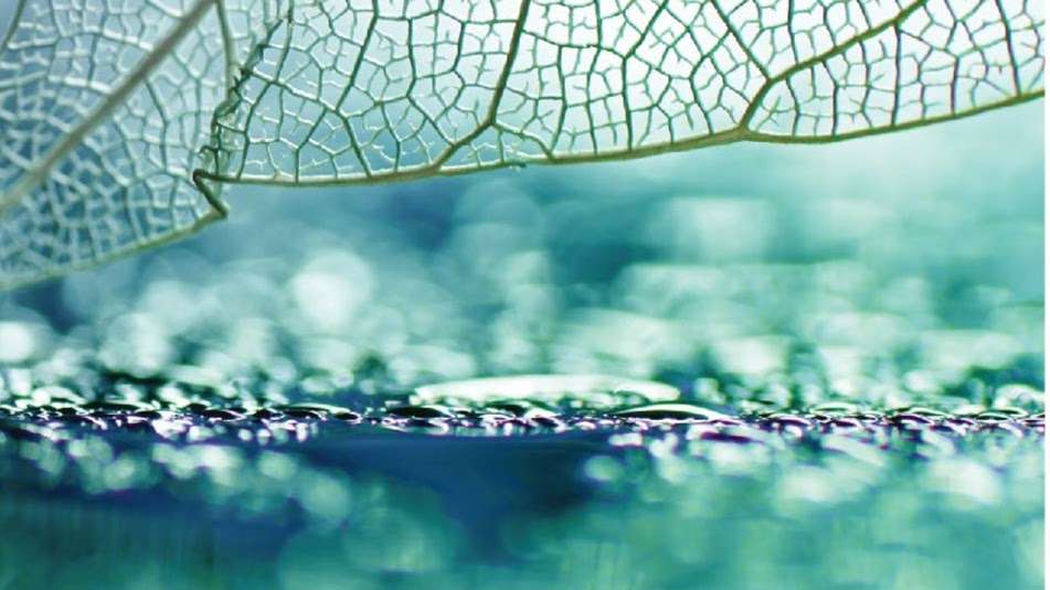 Greenbranch Wellness & Recovery | 206 W Parkway Dr #1, Egg Harbor Township, NJ 08234, USA | Phone: (833) 272-6246