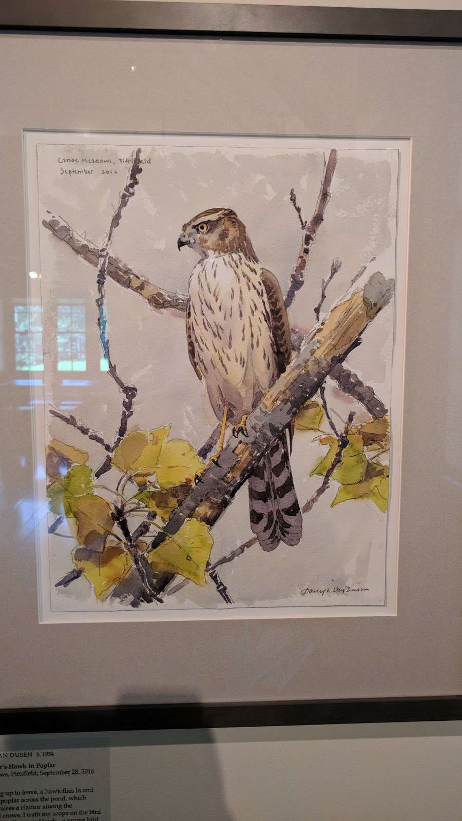 Museum of American Bird Art at Mass Audubon | 963 Washington St, Canton, MA 02021, USA | Phone: (781) 821-8853