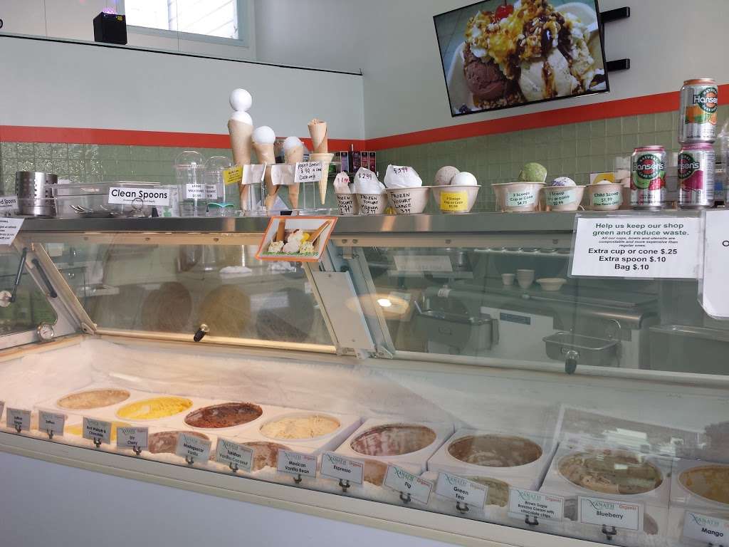 Xanath Ice Cream | 951 Valencia St, San Francisco, CA 94110, USA | Phone: (415) 648-8996