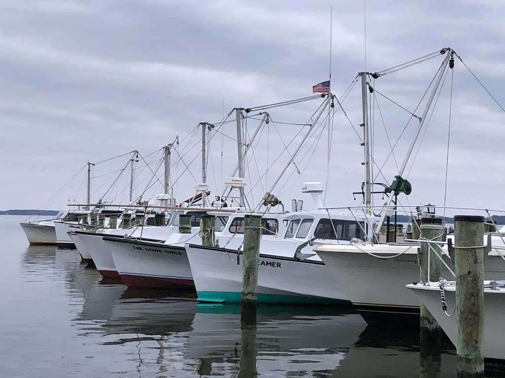 The Boathouse | 100 E Chew Ave, St Michaels, MD 21663, USA | Phone: (267) 221-5107