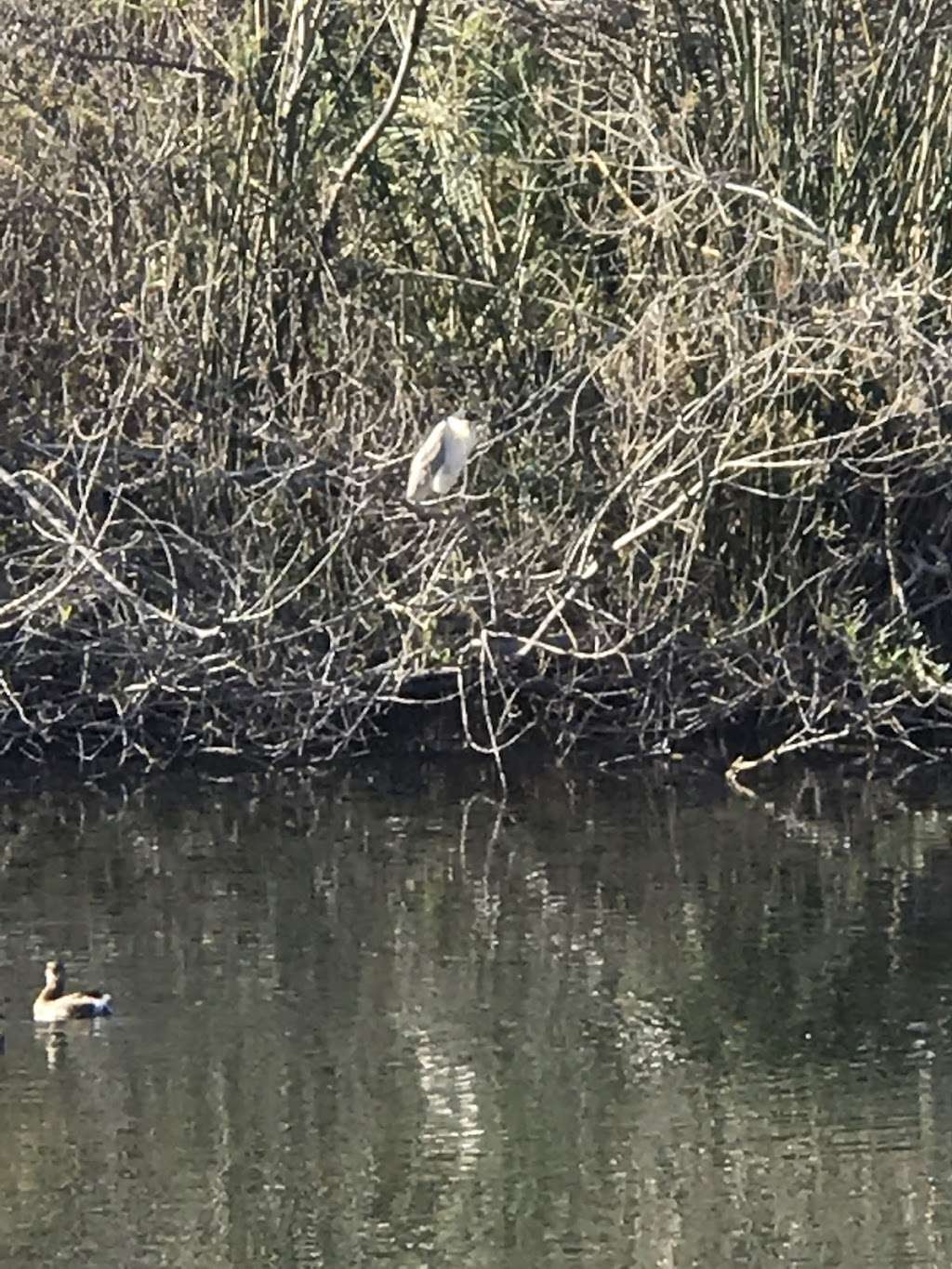 Ventura Harbor Ecological Reserve | 1400 Angler Ct, Ventura, CA 93001