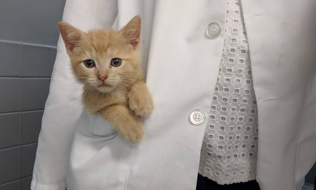 Nova Veterinary Clinic | 9021 Penn Ave S, Bloomington, MN 55431, USA | Phone: (952) 884-4353