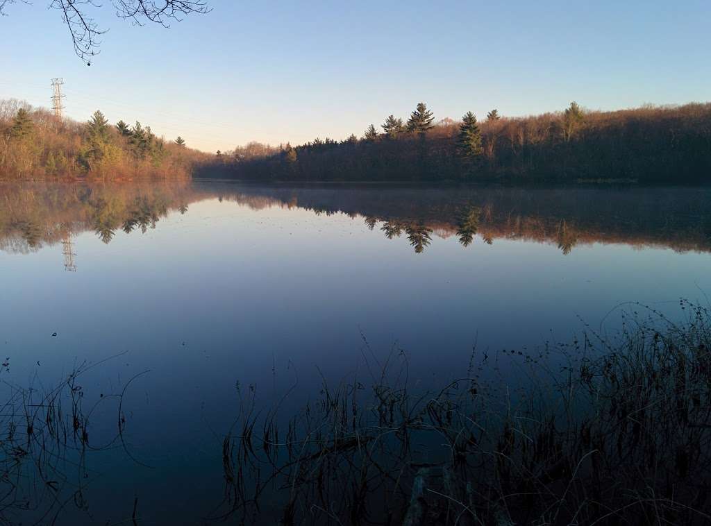 Cranberry Pond Conservation Land | Red Trail, Braintree, MA 02184, USA