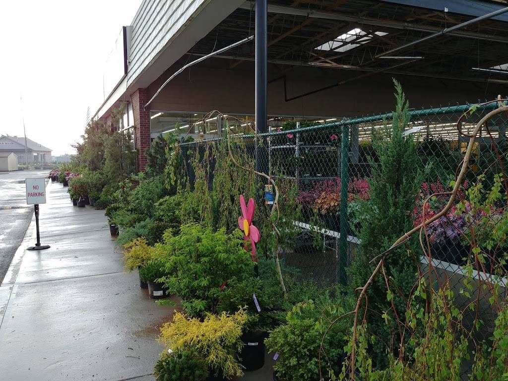 Straders Garden Center | 5500 W Broad St, Columbus, OH 43228, USA | Phone: (614) 853-3676