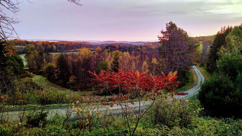 Matje Farm | Higley Rd, Wyalusing, PA 18853, USA