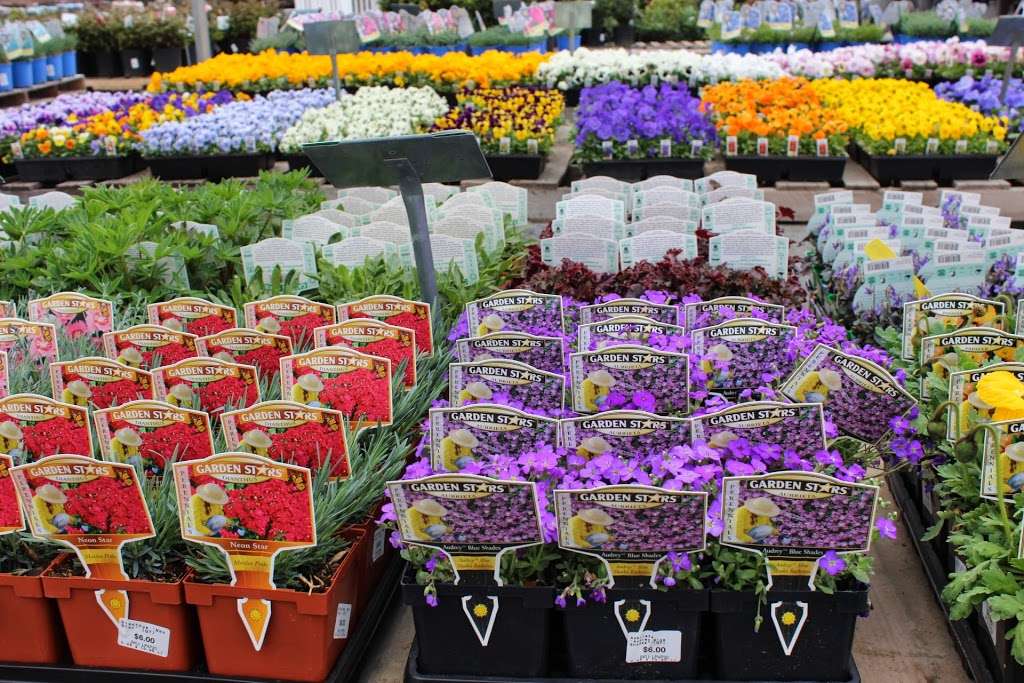 Devitts Nursery & Supply | 56 Devitts Cir, New Windsor, NY 12553, USA | Phone: (845) 561-1968