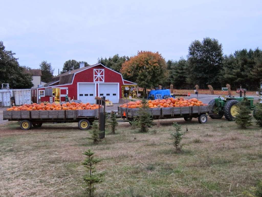Giamarese Farm & Orchards | 155 Fresh Ponds Rd, East Brunswick, NJ 08816, USA | Phone: (732) 821-9494