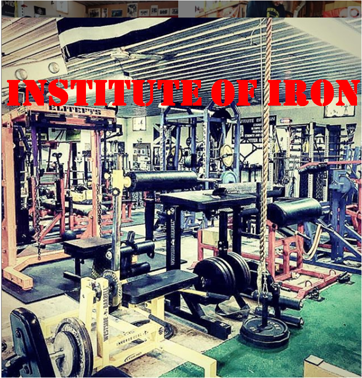 INSTITUTE OF IRON | 358 Jubinsky Rd, Waymart, PA 18472, USA | Phone: (570) 493-1566