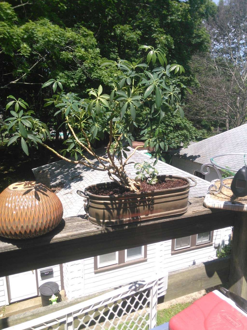 North Elm Express Lube | 651 N Elm St, West Bridgewater, MA 02379, USA | Phone: (508) 232-7606