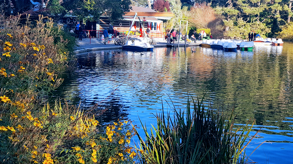 Stow Lake | John F Kennedy Dr & Martin Luther King Jr. Drive, San Francisco, CA 94118, USA | Phone: (415) 831-2700