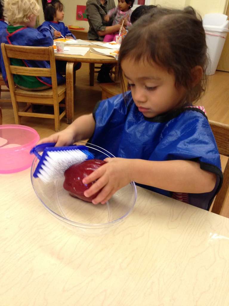 The Cherry Blossom Montessori School | 20 Equator Ave, Flagtown, NJ 08821 | Phone: (908) 369-4436