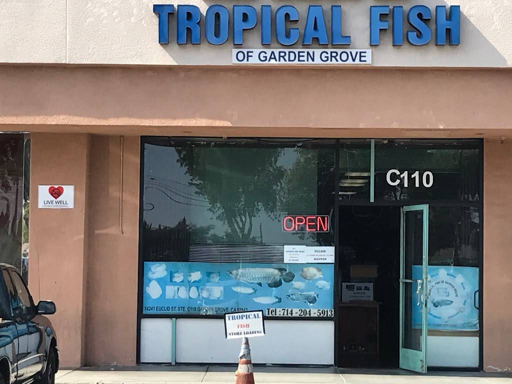 tropical fish garden grove