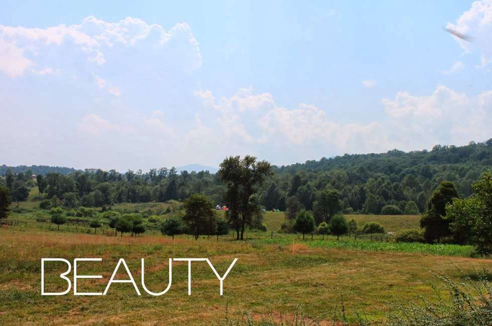 Belle Meade Montessori School | 353 F.T. Valley Road, Sperryville, VA 22740, USA | Phone: (540) 987-8970