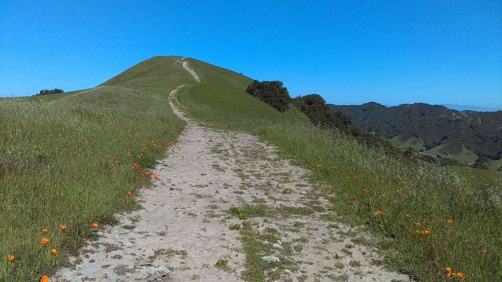 Las Trampas Ridge Trail | Las Trampas Ridge Trail, Moraga, CA 94556, USA | Phone: (888) 327-2757