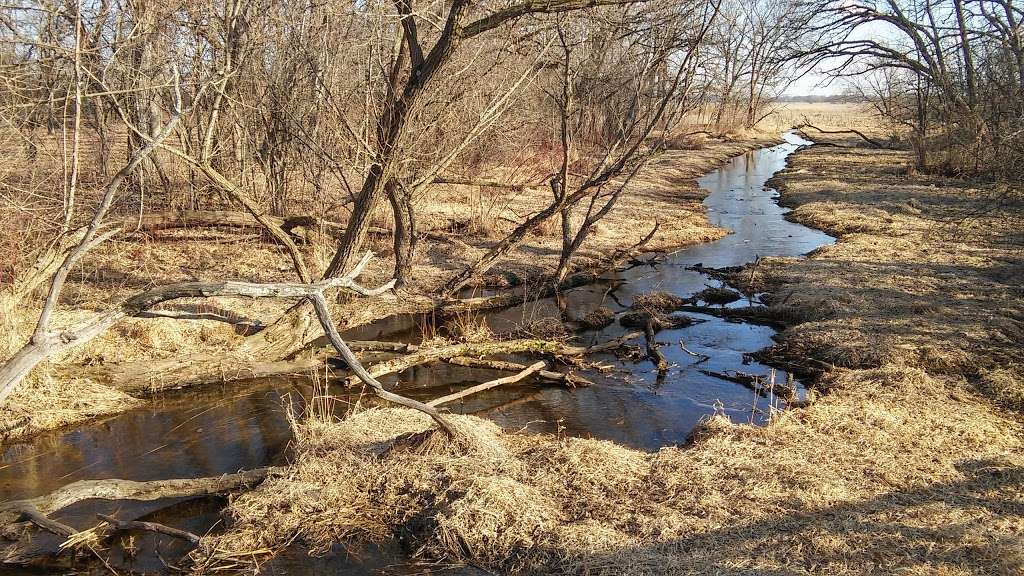 Turner Lake Fen Nature Preserve | Spring Grove, IL 60081