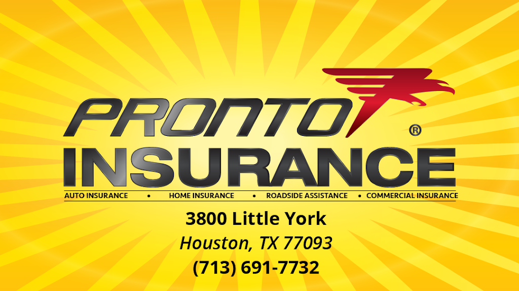 Pronto Insurance | 3800 Little York Rd, Houston, TX 77093, USA | Phone: (713) 691-7732