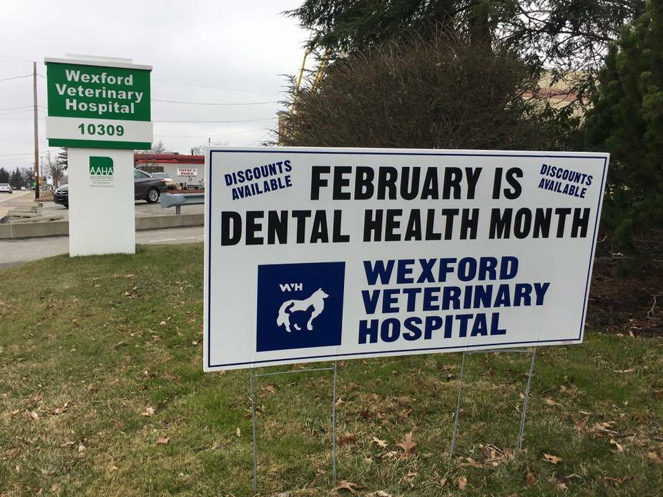 Wexford Veterinary Hospital | 10309 Perry Hwy, Wexford, PA 15090 | Phone: (724) 935-5911