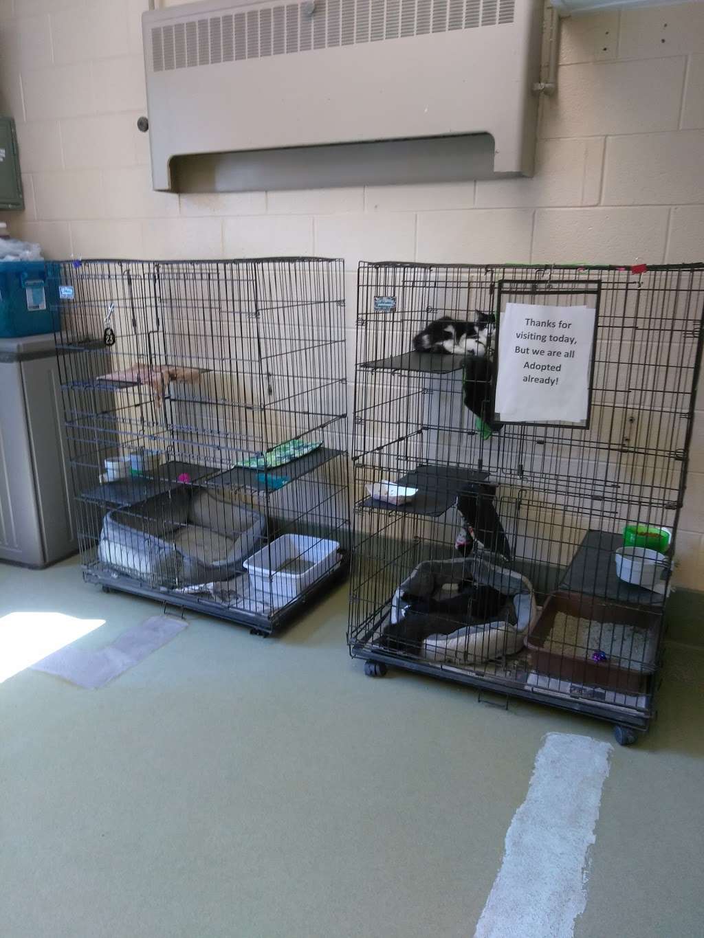 Prince William County Animal Shelter | 14807 Bristow Rd, Manassas, VA 20112 | Phone: (703) 792-6465