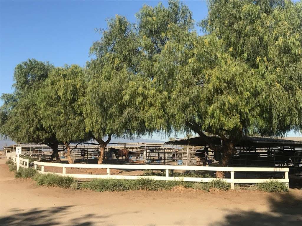 Prado Park Equestrian Center | 16629 Johnson Ave, Chino, CA 91708, USA | Phone: (909) 597-5757