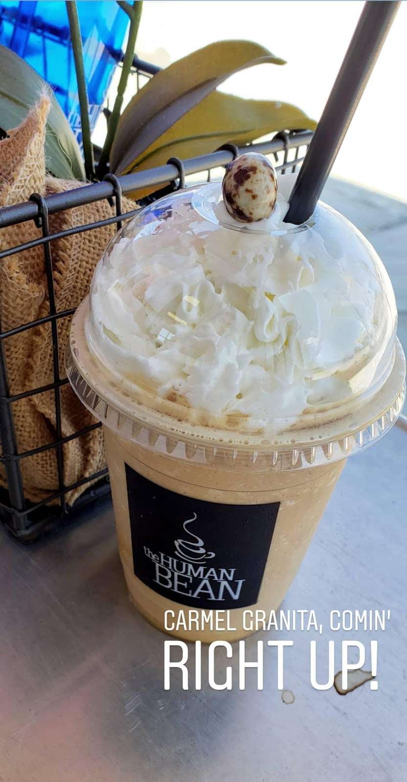 The Human Bean | 2661 Midway Rd Suite 300, Carrollton, TX 75006, USA | Phone: (972) 373-4431