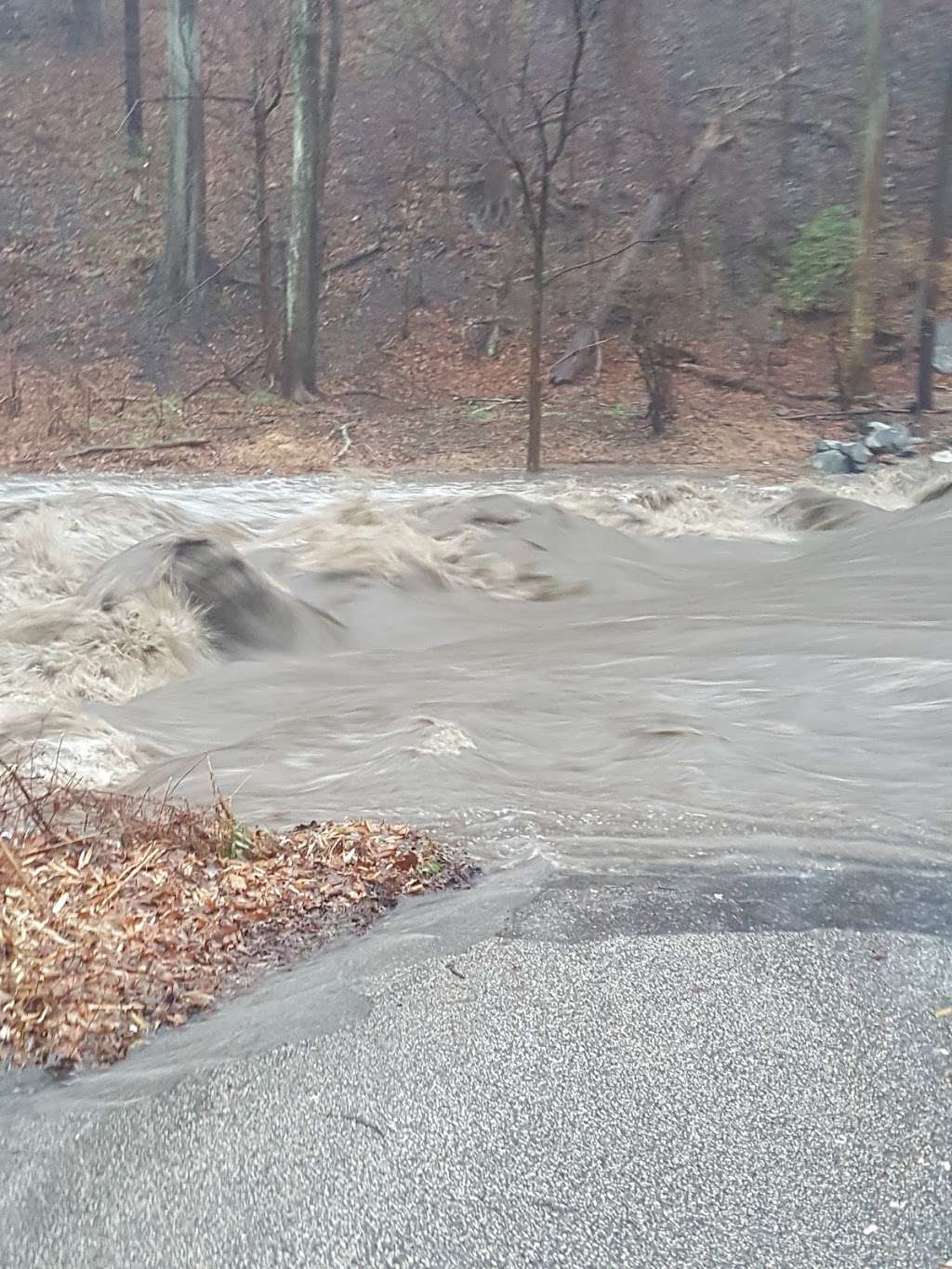 The Ford on Righters Mill Road | 30 Righters Mill Rd, Gladwyne, PA 19035, USA