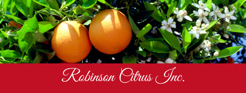 Robinson Citrus Inc | 556 Center St, Jupiter, FL 33458, USA | Phone: (561) 406-5404