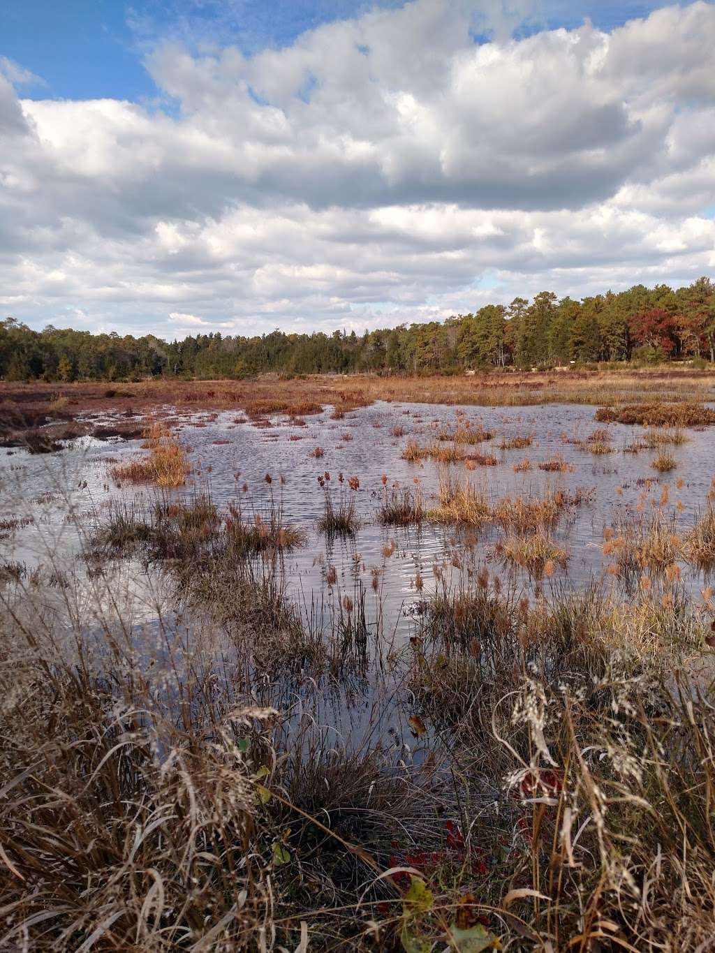 Cloverdale Farm County Park | 34 Cloverdale Rd, Barnegat, NJ 08005, USA | Phone: (609) 607-1861