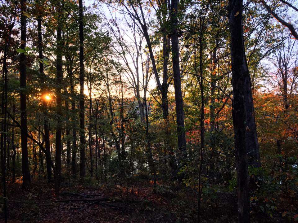 USNWC North Main & Figure 8 Trailhead | Charlotte, NC 28214