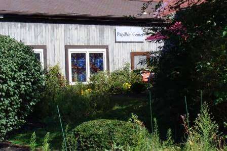 Papillon Center / Dr. Christine McGinn | Logan Square, 18 Village Row Suite 43, New Hope, PA 18938, USA | Phone: (215) 693-1199 Papillon Center / Dr. Christine McGinn | Logan Square, 18 Village Row Suite 43, New Hope, PA 18938, USA | Phone: (215) 693-1199