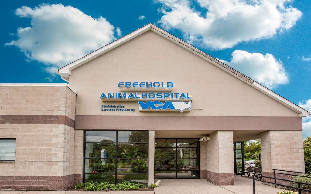 Freehold Animal Hospital | 3700 U.S. 9, Freehold, NJ 07728, USA | Phone: (732) 462-0572