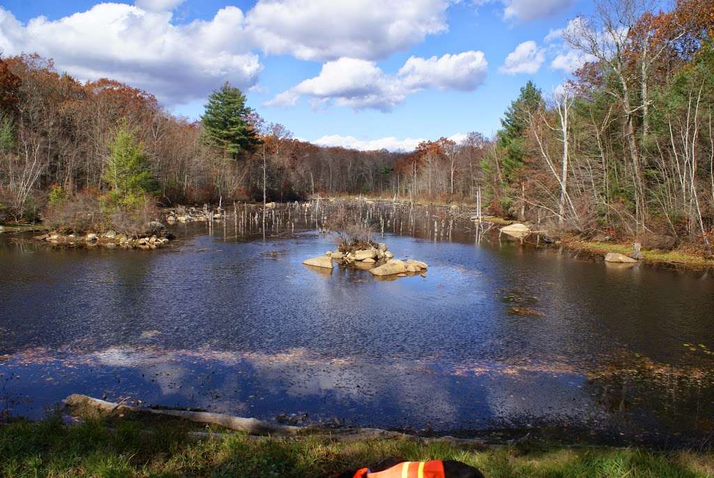 Black Hut Management Area Trailhead | 982 Spring Lake Rd, Burrillville, RI 02830, USA | Phone: (401) 568-4300