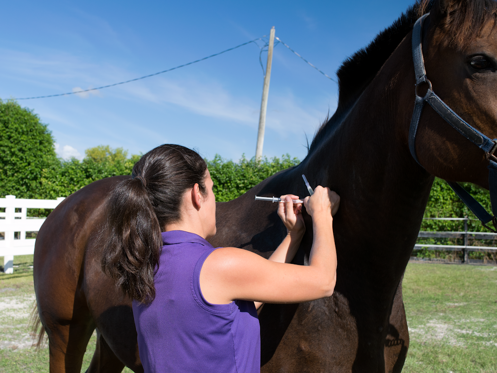 Reid & Associates Equine Clinic | 1630 F Rd, Loxahatchee Groves, FL 33470, USA | Phone: (561) 790-2226