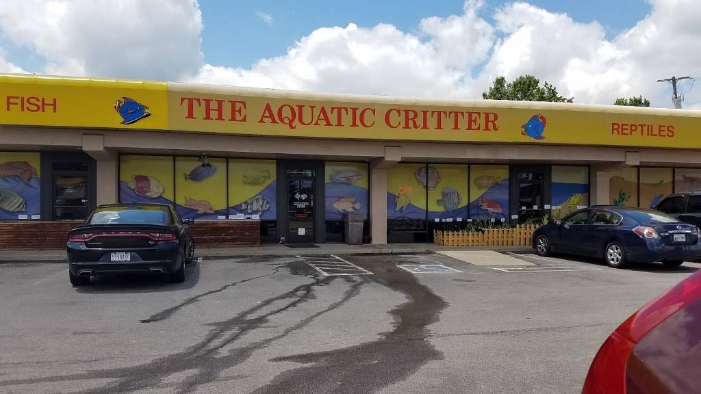 The Aquatic Critter | 5009 Nolensville Pike, Nashville, TN 37211, USA | Phone: (615) 832-4541