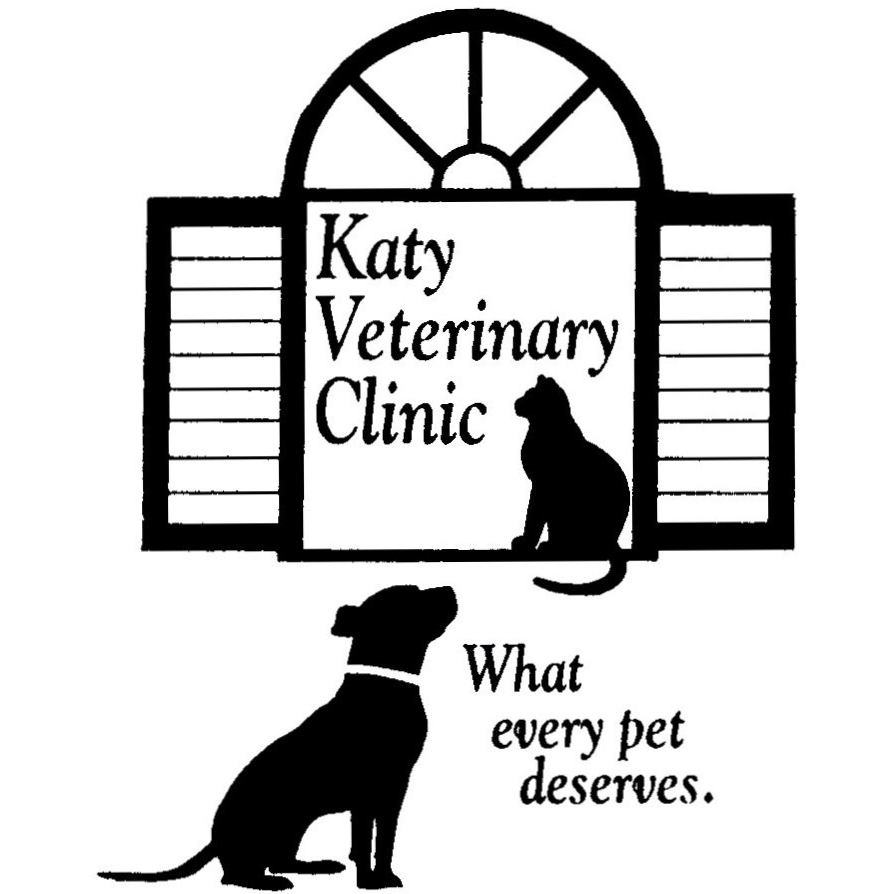 Katy Veterinary Clinic | 27227 Hwy Blvd, Katy, TX 77494, USA | Phone: (281) 391-3169