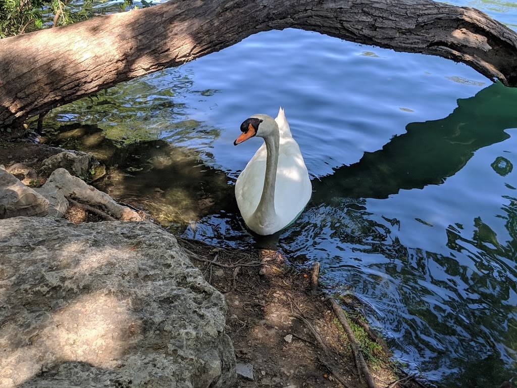 Lou Neff Point | Ann and Roy Butler Hike and Bike Trail, Austin, TX 78746, USA | Phone: (855) 448-7245