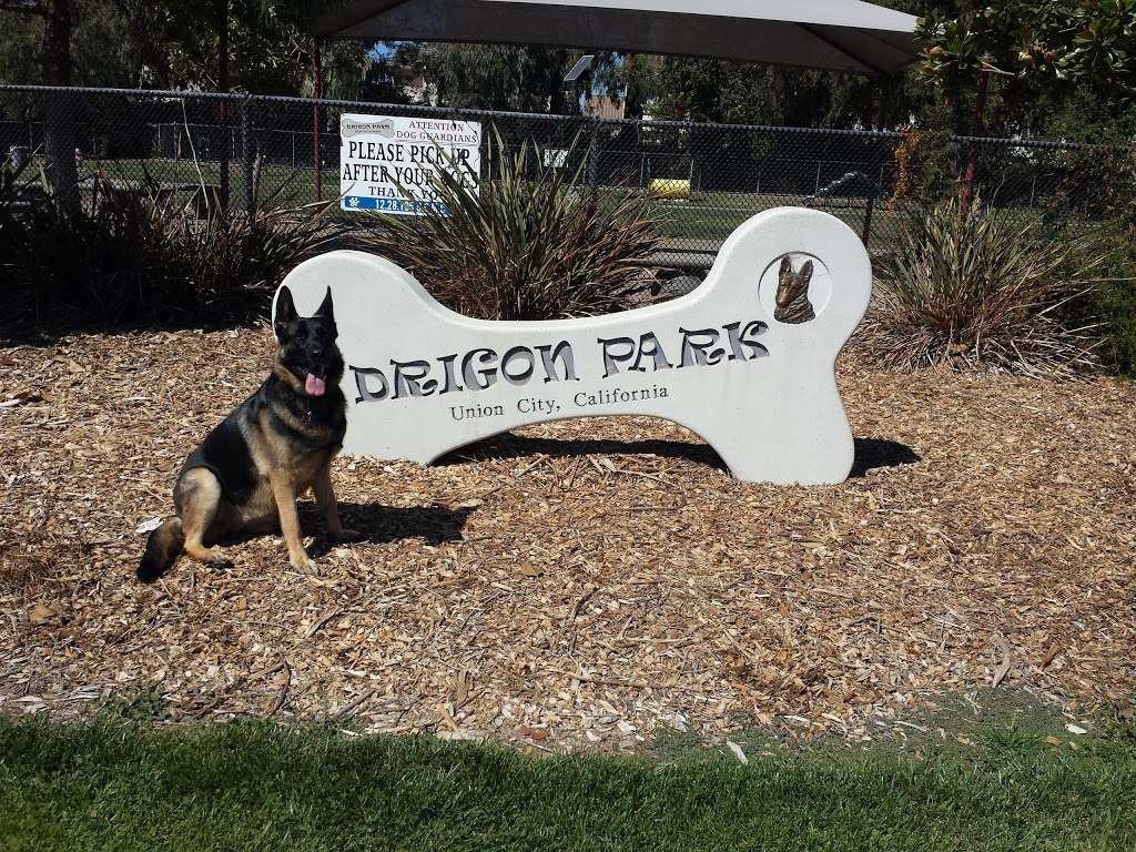 Drigon Dog Park | 34666 7th St, Union City, CA 94587, USA | Phone: (510) 471-3232 ext. 702
