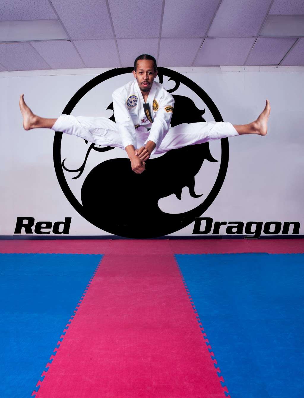 Red Dragon Martial Arts Academy | 5105 Sauk Trail, Richton Park, IL 60471 | Phone: (708) 747-5750