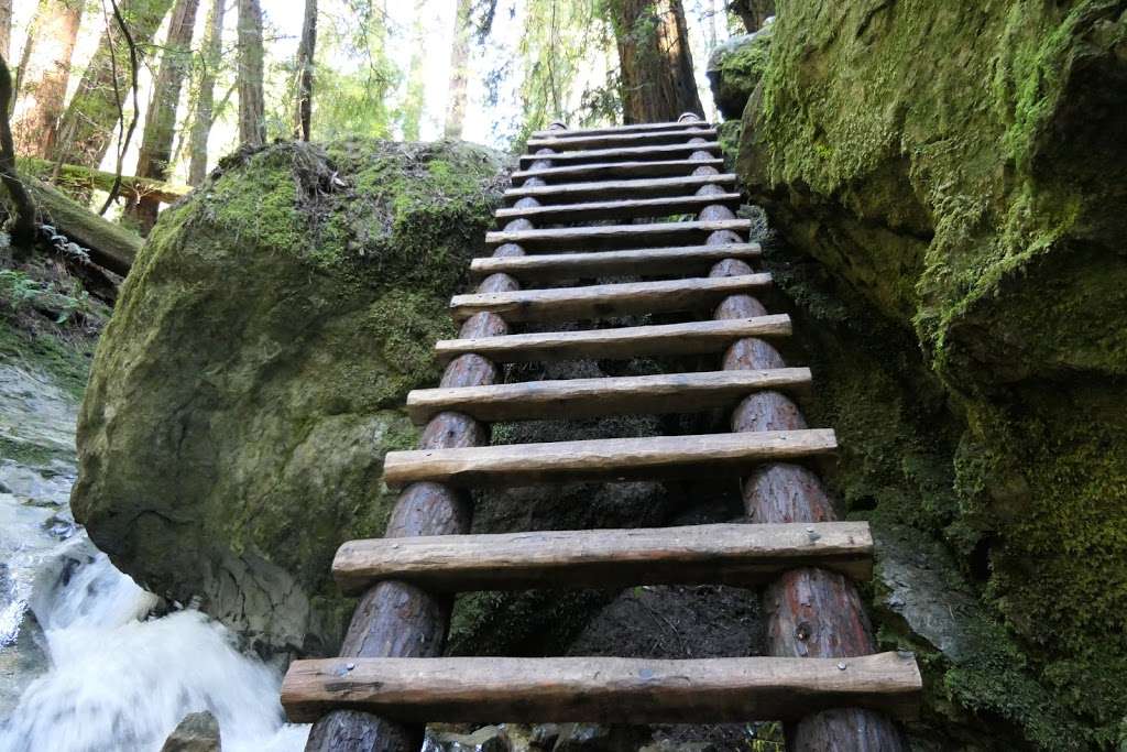 Matt Davis Trail Head | Matt Davis Trail, Stinson Beach, CA 94970