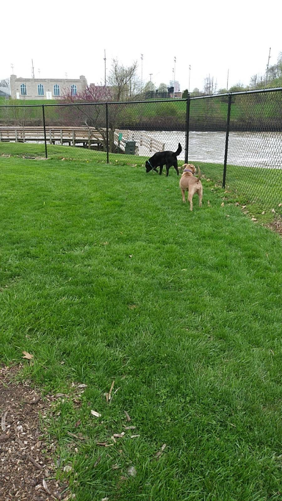 Mohr Dog Park | 2302 Saratoga Ave, Kokomo, IN 46902