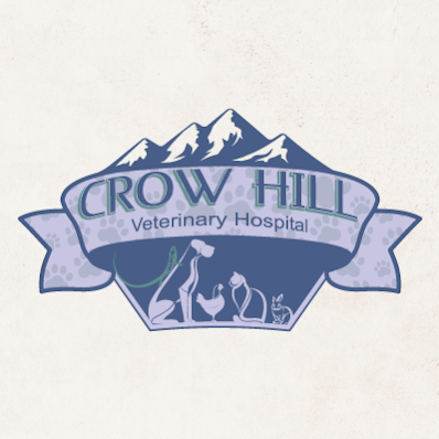 Crow Hill Veterinary Hospital | 460 Co Rd 43 #2, Bailey, CO 80421, USA | Phone: (303) 838-4677