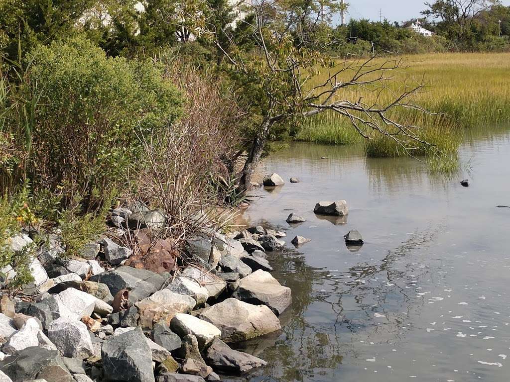 Burton Island Trailhead | 39401 Inlet Rd, Rehoboth Beach, DE 19971, USA